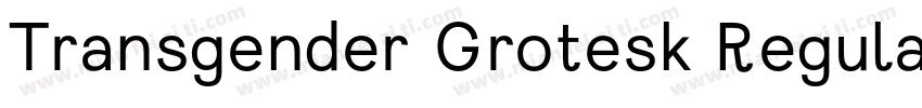 Transgender Grotesk Regular字体转换